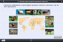 Интерактивные курсы. Биология 7 класс. Расширенный - «globural.ru» - Ростов-на-Дону