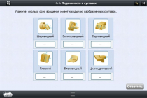 Интерактивные курсы. Биология 8 класс. Расширенный - «globural.ru» - Ростов-на-Дону