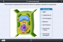 Интерактивные курсы. Биология 9 класс. Базовый - «globural.ru» - Ростов-на-Дону