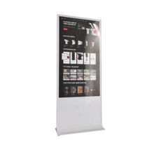 Интерактивный сенсорный киоск Nova 65" - «globural.ru» - Ростов-на-Дону