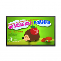 Интерактивная сенсорная панель 55"  (UHD 4K) - «globural.ru» - Ростов-на-Дону