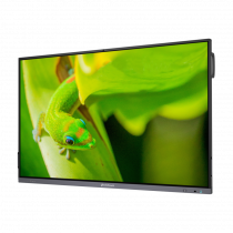 Интерактивный программно-аппаратный комплекс Geckotouch Interactive IP75GT-C в комплекте с настенным креплением - «globural.ru» - Ростов-на-Дону