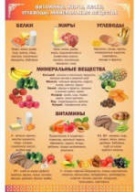 Стенд "Витамины, жиры, углеводы" - «globural.ru» - Ростов-на-Дону