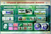Электрифицированный стенд "Уровни организации жизни" - «globural.ru» - Ростов-на-Дону