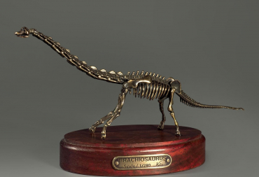 Модель скелета динозавра Brachiosaurus - «globural.ru» - Ростов-на-Дону