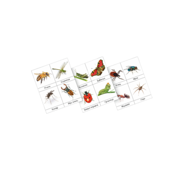 Фланелеграф "Насекомые" - «globural.ru» - Ростов-на-Дону