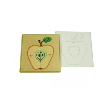 Части яблока с контуром - «globural.ru» - Ростов-на-Дону