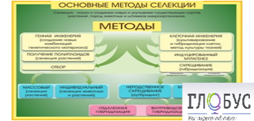 Стенд "Методы селекции и биотехнологии" - «globural.ru» - Ростов-на-Дону