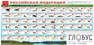 Стенд "Красная книга РФ" - «globural.ru» - Ростов-на-Дону