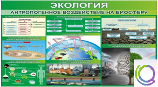 Стенд "Экология. Антропогенное воздействие на биосферу" - «globural.ru» - Ростов-на-Дону
