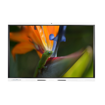 Интерактивная панель Geckotouch Interactive ​​​​​​75SL - «globural.ru» - Ростов-на-Дону