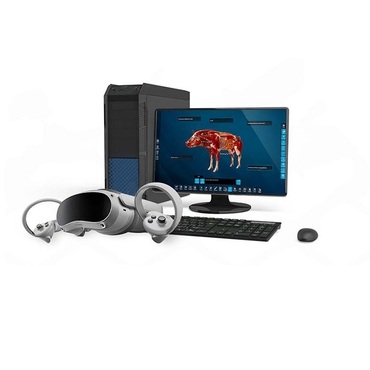 Интерактивный учебный комплекс «Анатомия Свиньи» - «globural.ru» - Ростов-на-Дону