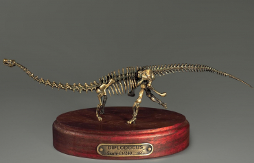 Модель скелета динозавра Diplodocus (вариант 1) - «globural.ru» - Ростов-на-Дону