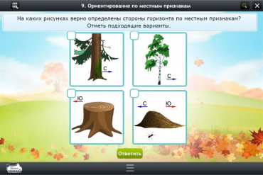 Интерактивные курсы. Окружающий мир 1 класс. Базовый - «globural.ru» - Ростов-на-Дону