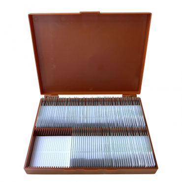 Комплект микропрепаратов по анатомии, ботанике, зоологии, общей биологии - «globural.ru» - Ростов-на-Дону