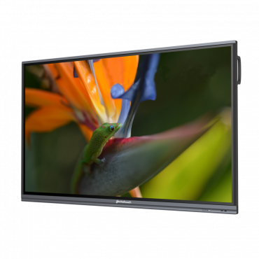 Интерактивный программно-аппаратный комплекс Geckotouch Interactive Pro IP75HT-E в комплекте с настенным креплением - «globural.ru» - Ростов-на-Дону