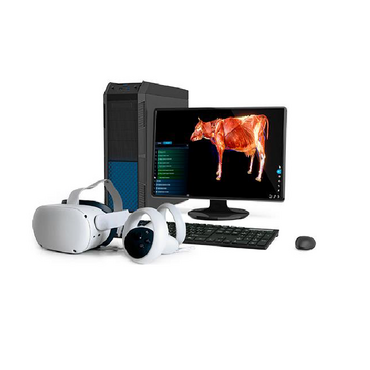 Интерактивный учебный комплекс «Анатомия Коровы» - «globural.ru» - Ростов-на-Дону