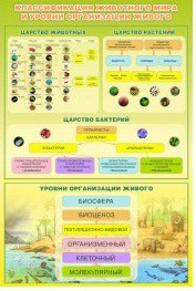 Стенд "Классификация животного мира" - «globural.ru» - Ростов-на-Дону