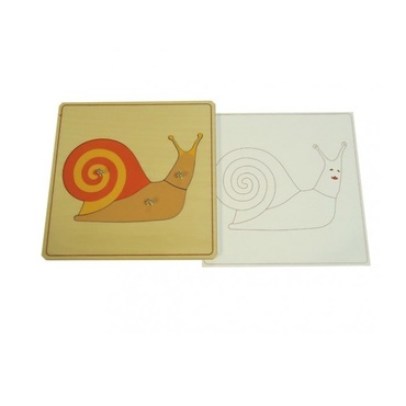 Строение улитки с контуром - «globural.ru» - Ростов-на-Дону